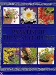 Sue Phillips 71024, Titia van Schaik 243061, Jacqueline Wouda 32394 - De praktische tuinencylopedie