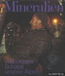 Stalder, Hans Anton & Haverkamp, Franz - Mineralien: Verborgene Schätze unsere Alpem