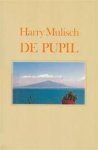  - MULISCH, HARRY - De Pupil, 133 blz.