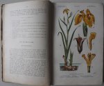 Boerman J.W. en Knip K.M. - Natuurlijke Historie Beknopt Leerboek der Dier- en Plantkunde Deel II Plantkunde