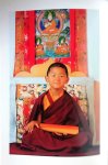 Rabten , Geshe . [ ISBN 9783905497106 ] 2819 - Treasury of Dharma .( A Tibetan Buddhist Meditation Course . )  The 'Treasury of Dharma' illustrates that the teachings of Buddha are indeed a rare and most precious treasure which , if one is able to see its value and is skilfull in using it, not -