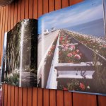 Hofland, H.J.A. - Magisch Flevoland