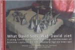 Meester, Mariët, David Vasile & Jaap de Ruig. - What David Sees/ Wat David Ziet: A young funnel maker from Romania captures his life/ Een jonge trechtermaker uit Roemenië legt zijn leven vast.