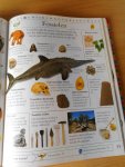 Llewellyn, Claire - Dat zoek ik op! Mijn eerste encyclopedie