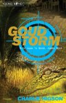C. Higson - Goudstorm