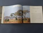 Eddy van Gestel. - Safari in Oost-Afrika.