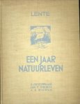 STOPPELAAR, R.J. DE / STRIJBOS, JAN P / WIGMAN, A.B - Een jaar natuurleven. Lente
