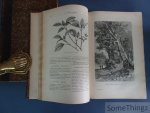 A.-E. Brehm et Paul Constantin. - Merveilles de la Nature. Les plantes. Le monde des plantes. Vol. 1 et 2.