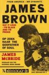 McBride, James - James Brown / op zoek naar de Godfather of Soul