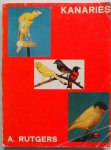 Rutgers, A. Illustrator : Kooy, van A. - Kanaries