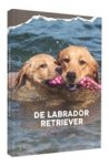Cindy Schwering - De Labrador Retriever