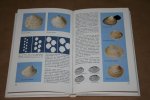 M. Moller Christensen - Seashells  -- Bivalves of the British and Northern European Seas