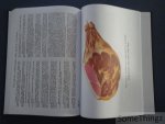 A. G. Konnikov. - Kolbasy i kopchenosti. Retseptura i sposoby izgotovleniya. [Russian text! Sausages and smoked meats. Recipes and preparation methods.]