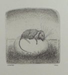Zwerver, Dolf. - Muis op ei.