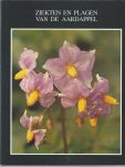 Radtke Wolfgang Dr ned vertaling Beemster A.B.R. - ziekten en plagen van de aardappel