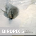 D. Schoonhoven - Birdpix 5