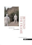 Dominique Bauer - Beyond the Frame case studies