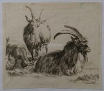 BERCHEM, NICOLAES PIETERSZ., - Three goats