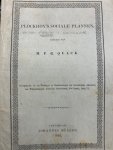 QUACK,  H.P.G., - Plockhoy's sociale plannen.