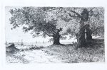 Unknown artist - Etching/ets: Aan de Oostzee/On the Baltic Sea.