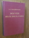 Gink-Van Es, G.F. - Bouvier Belge des Flandres