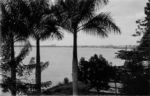 Suriname: - Paramaribo: Gezicht op de Surinamerivier. Afdruk van een foto uit de collectie van Ds. C.A. Hoekstra, gepubliceerd in: Zijlmans - `Fotografieën van Suriname` (2006)