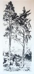 Hans van Dokkum (1908-1995) - [Modern print, lithography] Trees in the mountains/ Bomen in de bergen, published ca. 1950.