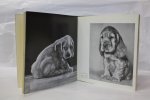 Casembroot, Judy de - Spaniels