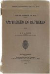 G.F. de Witte - Amphibieën en reptielen