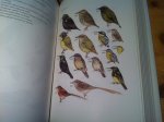 Langrand, O & V Bretagnolle - Guide to the Birds of Madagascar