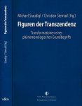 Staudigl, Michael & Christiaan Sternad - Figuren der Transzendenz: Transformationen eines phänomenologischen Grundbegriffs