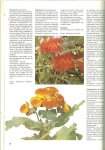 Breure-Scheffer.J.M  .. Oppotten en verpotten, zowordenbollen opgepot, - De verzorging van kamerplanten  .. alles over doe-het-zelf  .. Plantenschalen en plantenbakken, een groene scheidingswand,hangmandjes, en een groene scheidingswand