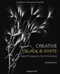 Harold Davis - Creative Black and White Harold Davis - Creative Black and White