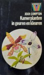 Compton - Kamerplanten in geuren en kleuren