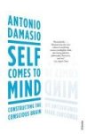 Damasio, Antonio - Self Comes to Mind Constructing the Conscious Brain