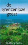Tarthang Tulku - De grenzeloze geest / overpeinzingen over het boeddhisme in de westerse wereld