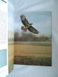 Henk van den Brink - Roofvogels en uilen in Europa. Hun leefwijze, voedsel en jachtmethoden