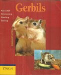 Kotter, Engelbert - Gerbils - aanschaf / verzorging / voeding / gedrag