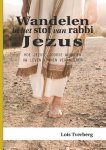 Lois Tverberg - Wandelen in het stof van rabbi Jezus