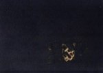 Leeuwen. P. van - Gedenkboek P. van Leeuwen Buizen 1924-1954
