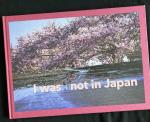 Wertman, Orna; Hripsimé Visser et al. - I was not in Japan