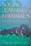 Bennett G. Galef, Jr. - Social Learning In Animals