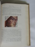 Lexer Erich - Lehrbuch der Allgemeinen Chirurgie