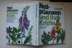 Dr. W.A. Thomson ; Schadewaldt, Dr. Hans; e.a. - Ein Ratgeber fur Fragen der Gesundheitsmedizin auf naturlicher Basis  Heilpflanzen Und Ihre Krafte