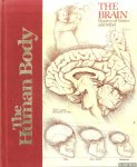 Fincher, Jack - The Brain. Mystery of Matter and Mind