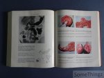 E. Chérigié, P. Hillemand, Ch. Proux et R. Bourdon. - L'intestin grêle normal et pathologique. (Etude clinique et radiologique.)