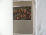 Nuttall, G. Clarke - Beautiful flowering shrubs, by G. Clarke Nuttall, B. SC. With 40 illustrations from autochromes by H. Essenhigh Corke.