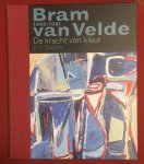 Slagter, E. - Bram van Velde 1895-1981 : de kracht van kleur