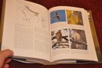 Naoroji, Rishad - Birds of Prey of the Indian Subcontinent Naoroji, Rishad - Birds of Prey of the Indian Subcontinent