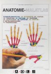 Wynn Kapit, Lawrence M. Elson - Anatomie-Malatlas
